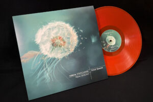 Valerie Grashaire Pierre Brouand Third Stream Vinyl Recto